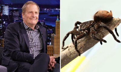 ‘Why? Is there a resemblance?’ Tarantula-killing worm named for actor Jeff Daniels