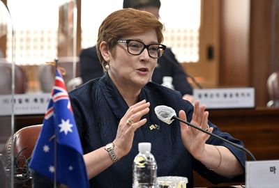 Australia, UK to 'fight back' against hostile states in cyber - minister