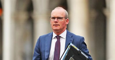 Simon Coveney attended garden party at Iveagh House weeks after Champagne office hooley