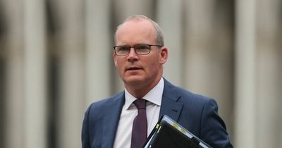 Simon Coveney attended garden party at Iveagh House weeks after champagne office hooley