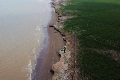Indonesia aims to get mangrove restoration back on track in 2022