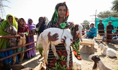 ‘For the first time, I felt free’: Pakistan’s women-led livestock market