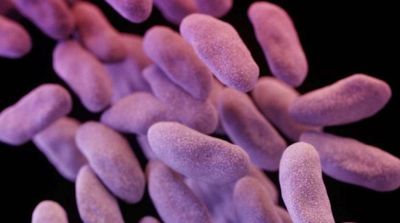 Antibiotic-resistant Superbugs Killed 1.2 MN in 2019