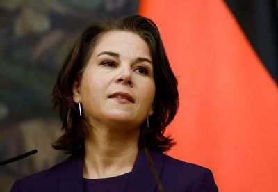 German foreign minister holds first online meeting with Chinese counterpart