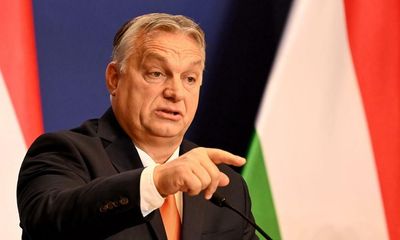 European MEPs call for election observation mission to Hungary