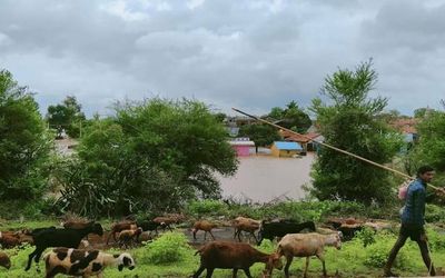 BJP CMC member arrested for killing money-lender in Sankeshwar