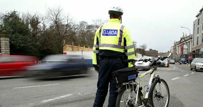 Driver 'more than a little surprised' after breaking simple law right beside Garda