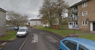 Huge East Kilbride brawl leaves teenage girl in hospital with serious injuries