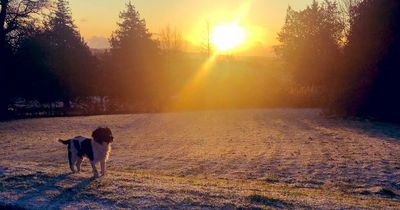 Met Office forecasts 'coldest night' of the winter as -5°C freeze blasts Wales