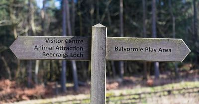 Park looks set to receive share of £2.6m fund