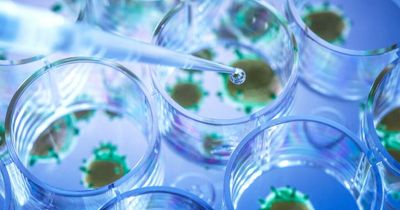 'Second type' of Omicron Covid that may spread faster being monitored by scientists