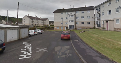 Teenage girl seriously injured in huge gang fight involving '13 to 16 people' in East Kilbride