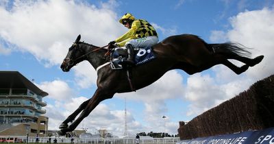 Shishkin v Energumene clash on after both declared for Clarence House Chase at Ascot