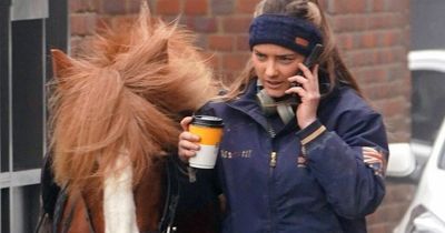 Driver's astonished as woman on horse stops for McDonald's drive-thru