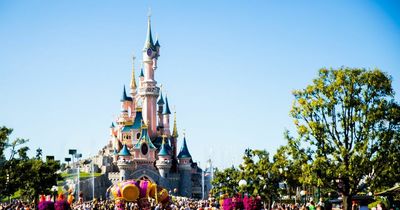 Wowcher shares 'bargain' £89 Disneyland deal but shoppers all have the same complaint