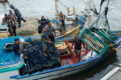 ‘Gold in the sea’: Brazil’s booming fish bladder trade
