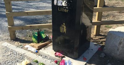 Concerns as Mid Ulster Council appoints new litter enforcement contractor