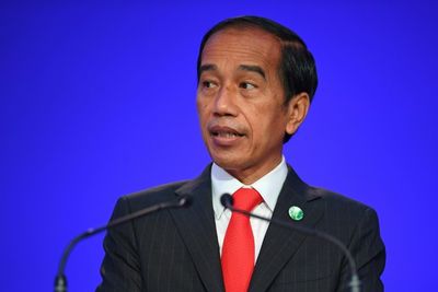 Indonesia to push for new global health agency, president says