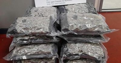 Dublin Airport Revenue sting finds €150,000 worth of drugs disguised as 'drones'