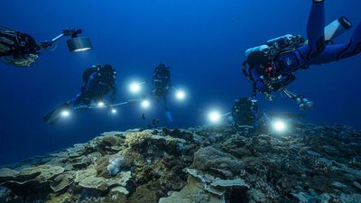 Pristine coral reef discovered near Tahiti, unaffected by climate change