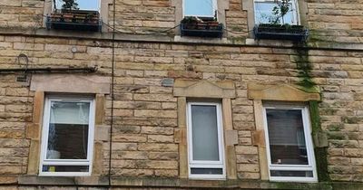 Edinburgh landlord offers bunk bed in tiny apartment for £600 a month