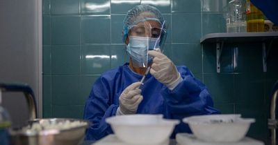 Covid infection rates for every Scots council from Public Health Scotland amid 8,262 new cases