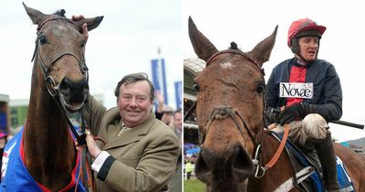 Cheltenham Gold Cup hero Bobs Worth dies following 'freak accident'