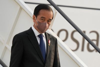 Indonesia wants to use G20 presidency to aid COVID rebound