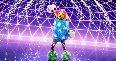 ITV The Masked Singer Poodle's identity 'rumbled' after fan confrontation
