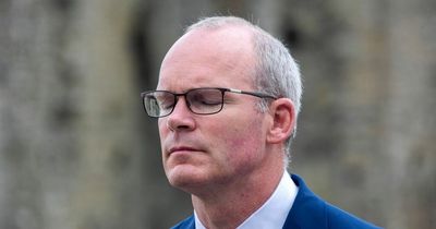 Simon Coveney slammed as 'grossly out of touch' for attending Champagne party in Iveagh House during Covid lockdown