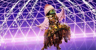 Who is Mushroom on The Masked Singer 2022? Clues and fan theories so far