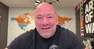 Dana White finally responds to Jake Paul's drug-test challenge