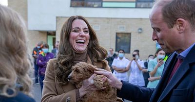 Kate Middleton jokes her dog will be upset after she enjoys cuddle with therapy pup