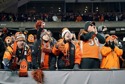 Titans hoping to limit Bengals fans by changing ticket transfer rules