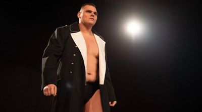 WWE Abandons Trademark for Nazi Commander’s Name