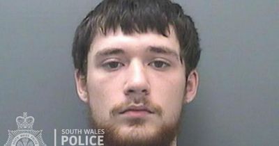 Teen suffers fractured skull after meat cleaver attack in Swansea city centre