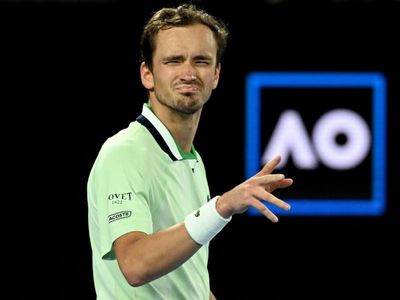 Medvedev lashes 'low IQ' Open spectators