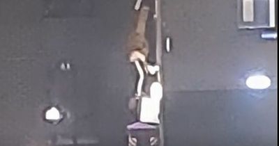 Painful moment Edinburgh man face-plants as daring window climb goes very wrong