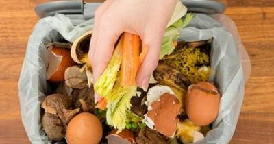 Discarded food rotting in Glasgow bins which haven't been collected for two years