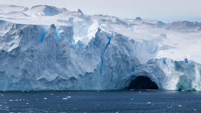 Giant canyon discovered underneath Vanderford Glacier in Antarctica, revealing history behind rising sea levels