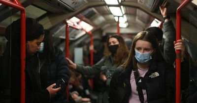 Boris Johnson warned relaxing Covid Plan B rules is 'too much, too soon'