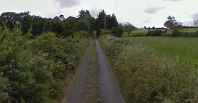 Gardai rush to the scene as man, 60s, dies after crash in Co Longford