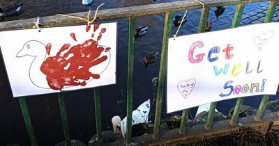 East Lothian school kids create 'touching' cards for wildlife after large petrol leak in River Esk