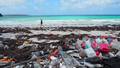 Calls for clean-up to remove plastic waste piling up on the Wessel Islands, off Arnhem Land