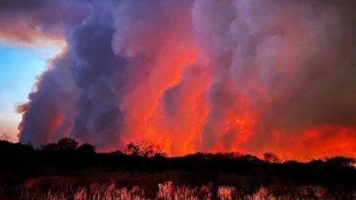 Gascoyne bushfires burn for two weeks, killing livestock, destroying land and devastating pastoralists