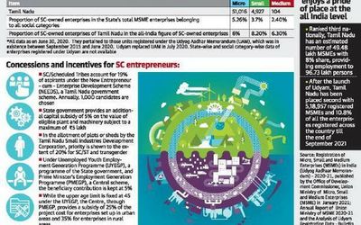 A steady growth of SC entrepreneurs