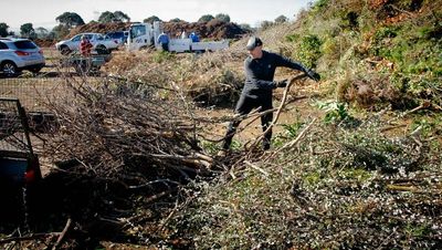 Government identifies new northside green waste site