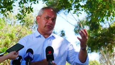 Gold Coast Mayor Tom Tate pushes for charter flights to acquire RATs from Asia