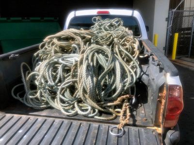 Search on for humpback whale entangled in debris off Hawaii