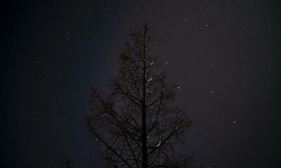 Country diary: The frost is so bright I can hardly see the stars